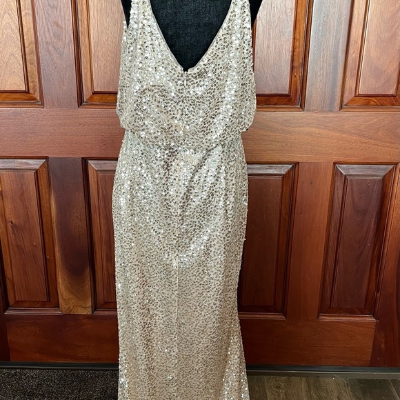 Adrianna Papell Champagne Sequin Beaded V-Neckline Blouson Maxi Gown Dress Sz 12 - Picture 6 of 12